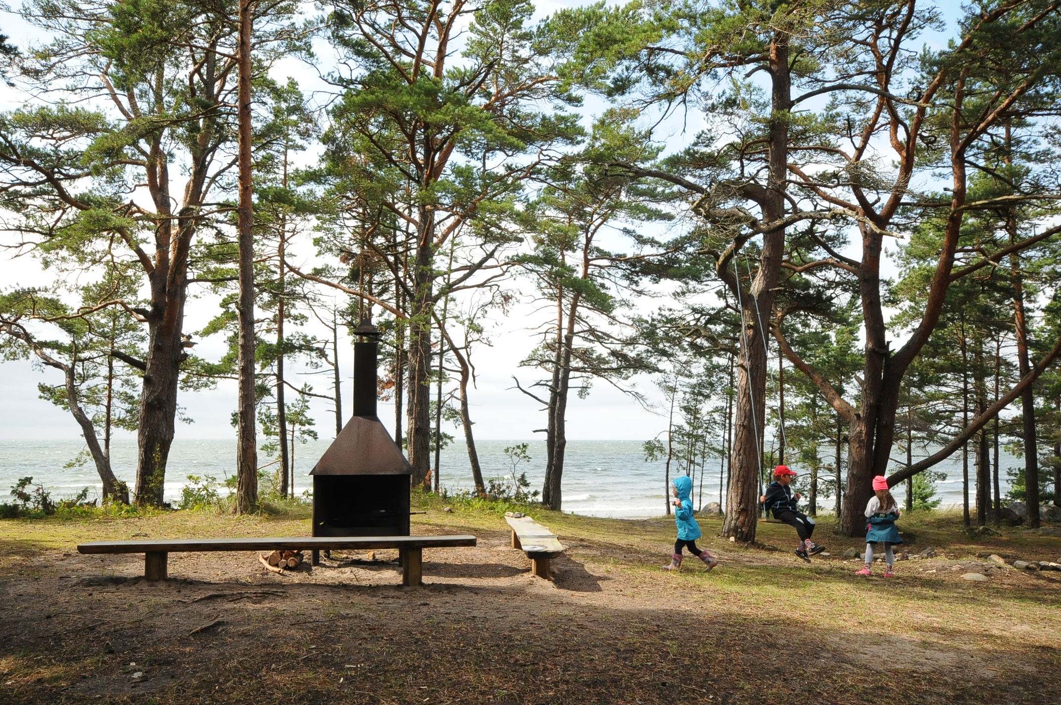 Estonia - Idealny urlop kamperem